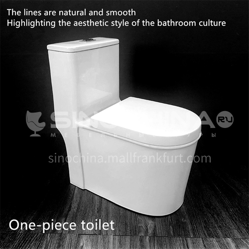  ceramic  siphonic    one piece     dual flush toilet 